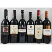 Wine Buyers Red Wine special selection (6 bottles)