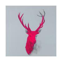 Wildly Sublime 2 By Louise McNaught