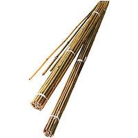 Wickes Bamboo Canes 1.8m Pack of 10