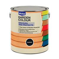 Wickes Garden Colour Blackbird 2.5L