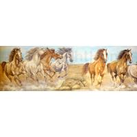 Wild Horses Wallpaper Border 5m