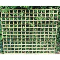 Winchester 1ft Pressure Treated Trellis Winchester 1ft Pressure Treated Trellis x3