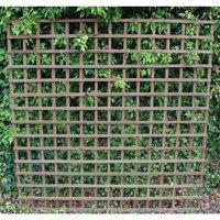 Winchester 1ft Dipped Trellis Wi...