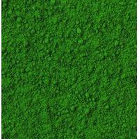 Wilton Colours Dust Food Decorative Spruce Green 360567