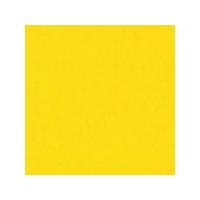 Winton Oil Colours. Cadmium Yellow Pale Hue. Each