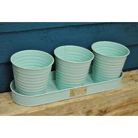 Windowsill Herb Pots on a Tray in Blue by Sophie Conran