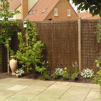 willow screen fence panel pack by gardman