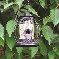 Wild Bird Mini Lantern Seed Feeder by Kingfisher