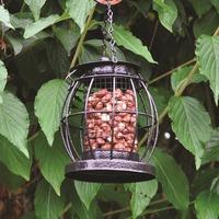 Wild Bird Mini Lantern Nut Feeder by Kingfisher
