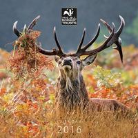 Wildlife Trust Square Calendar 2016