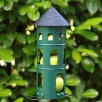 Wildlife Garden Combi Feeder - Green