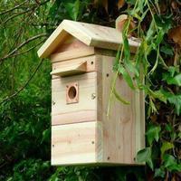 Wildlife World All Year Camera Nest Box, Natural Wood