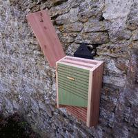 Wildlife World Conservation Bat Box, Natural Wood