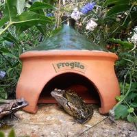 Wildlife World Frogilo Frog & Toad Home