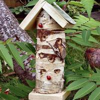 Wildlife World Ladybird/Insect Tower, Natural Wood