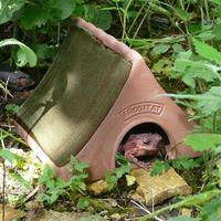 wildlife world ceramic frog toad habitat