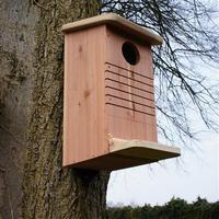 Wildlife World Red Squirrel Box, Natural Wood