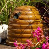 Wildlife World Ceramic Bumblebee/Mini Mammal Habitat