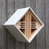 wildlife world urban insect box white