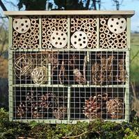 Wildlife World 9 Room Insect Hotel, Natural Wood