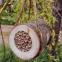 Wildlife World Pollinating Bee Log, Natural Wood