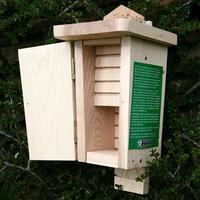 Wildlife World Original Bat Box, Natural Wood