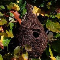 Wildlife World Giant Roost Nest Pocket/Small Bird Nester