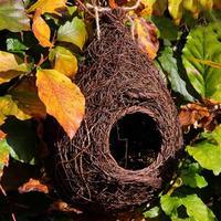 Wildlife World Giant Roost Nest Pocket/Robin Nester