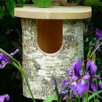 Wildlife World Robin Nest Box, Natural Wood