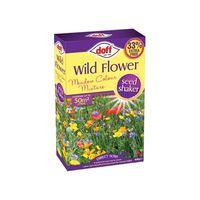 Wildflower Meadow Seeds 300g + 33%