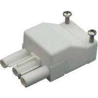 wieland 9373132500 compact connector white