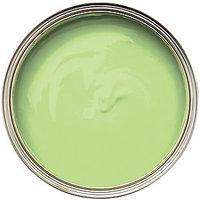 Wickes Colour @ Home Vinyl Silk Emulsion Paint- Grass 2.5L