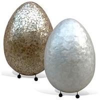 wilde java shell egg lamp set of 2