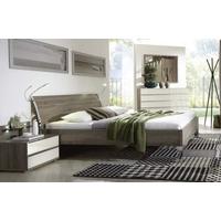 Wiemann Loft Futon Bed with Trim Headboard