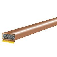 wickes intumescent fire seal brown 10 x 4 x 2100mm fd152