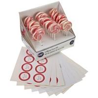 Wilton 24-Piece Lollipop Favor Kit - Pink/ White