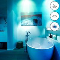 WiZ Smart Stellar Ceiling Light (WZ509089)