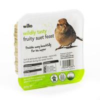 Wilko Wild Bird Suet with Fruit Mix 300g