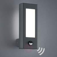 With motion detector - LED outdoor wall lamp Rhine