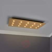 With 15 LEDs  dimmable ceiling light Juri