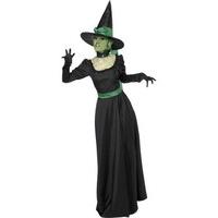 Wicked Witch Costume - Small