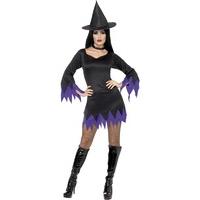 Witch Black and Purple Costume