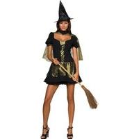 wicked witch wizard of oz halloween fancy dress costume extra small