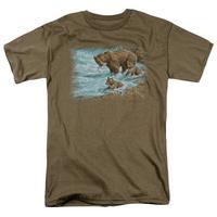 wildlife alaskan brown bear