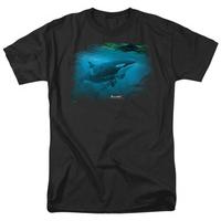 Wildlife - Pursuit Thru The Kelp Orca
