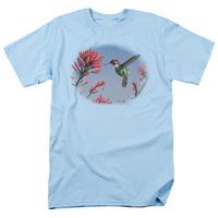 wildlife annas hummingbird