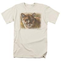 Wildlife - Golden Cat Cougar