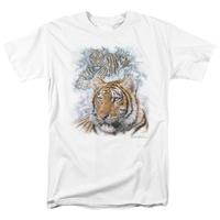 Wildlife - Tigers