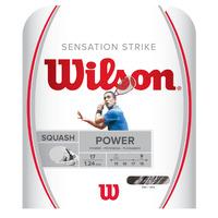 Wilson Sensation Strike Squash String Set