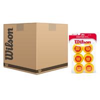 Wilson Starter Foam Balls - 5 Dozen